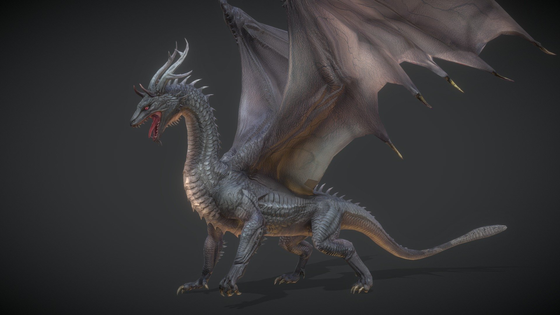 Black Dragon 3d model