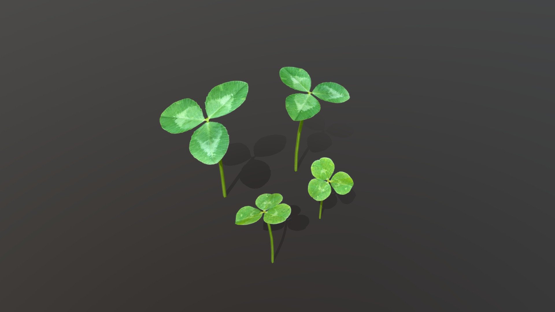 Clovers 3d model