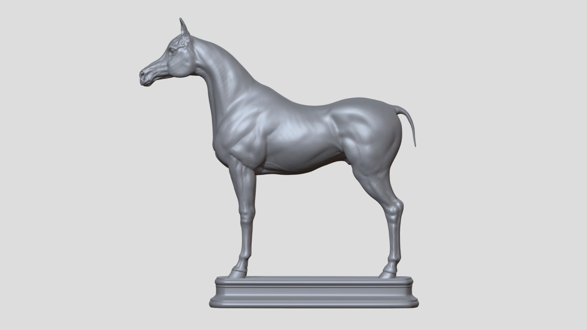 Arabian Horse 3d model