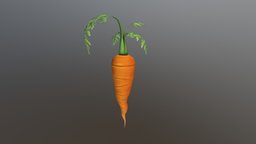 A Carrot :^)