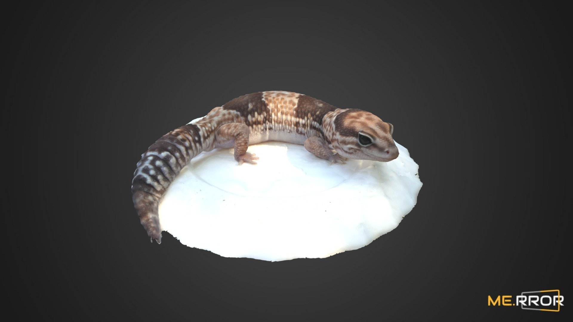 Lizard 3d model