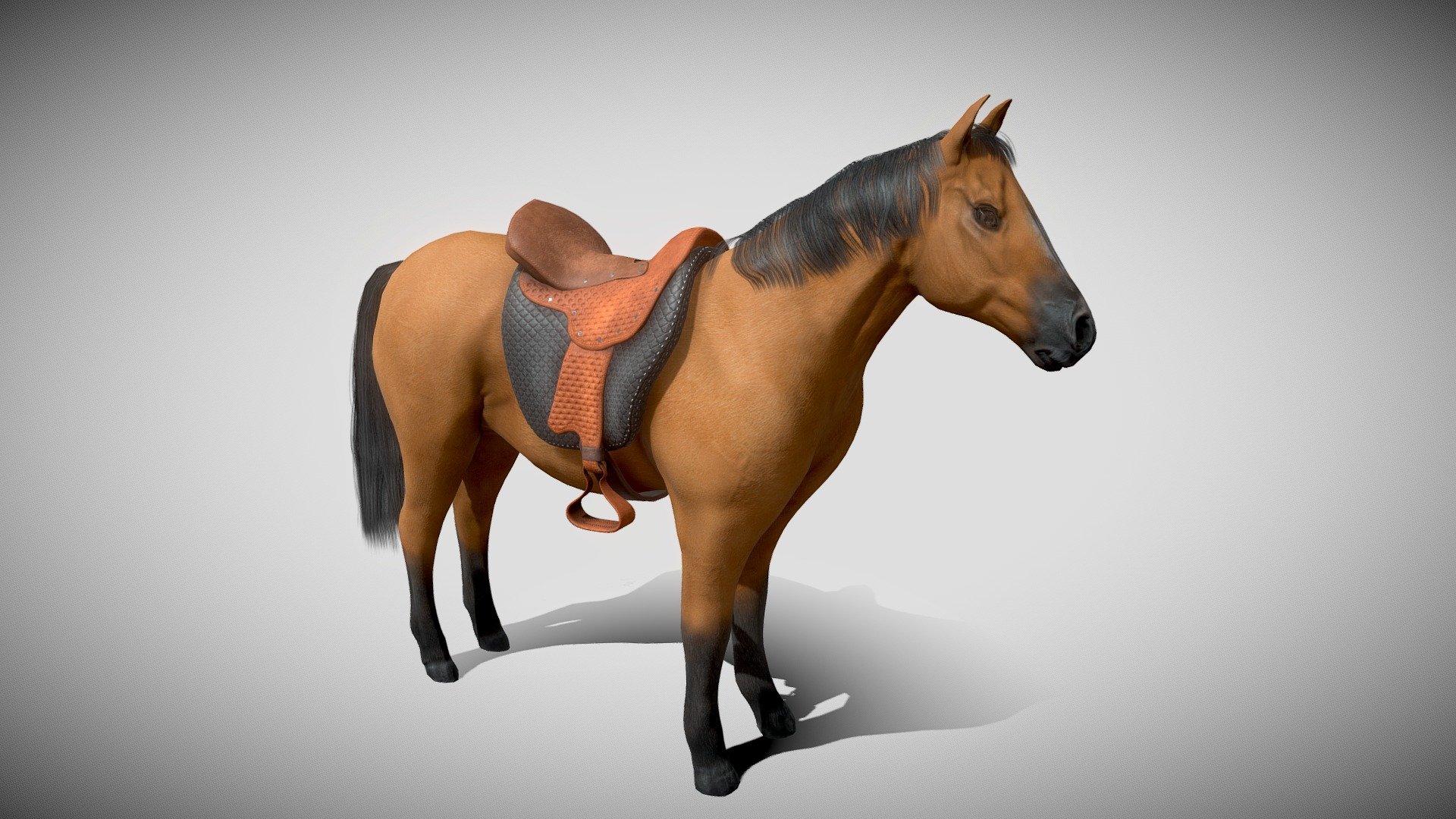 The Brown Horse Rigged 3d model