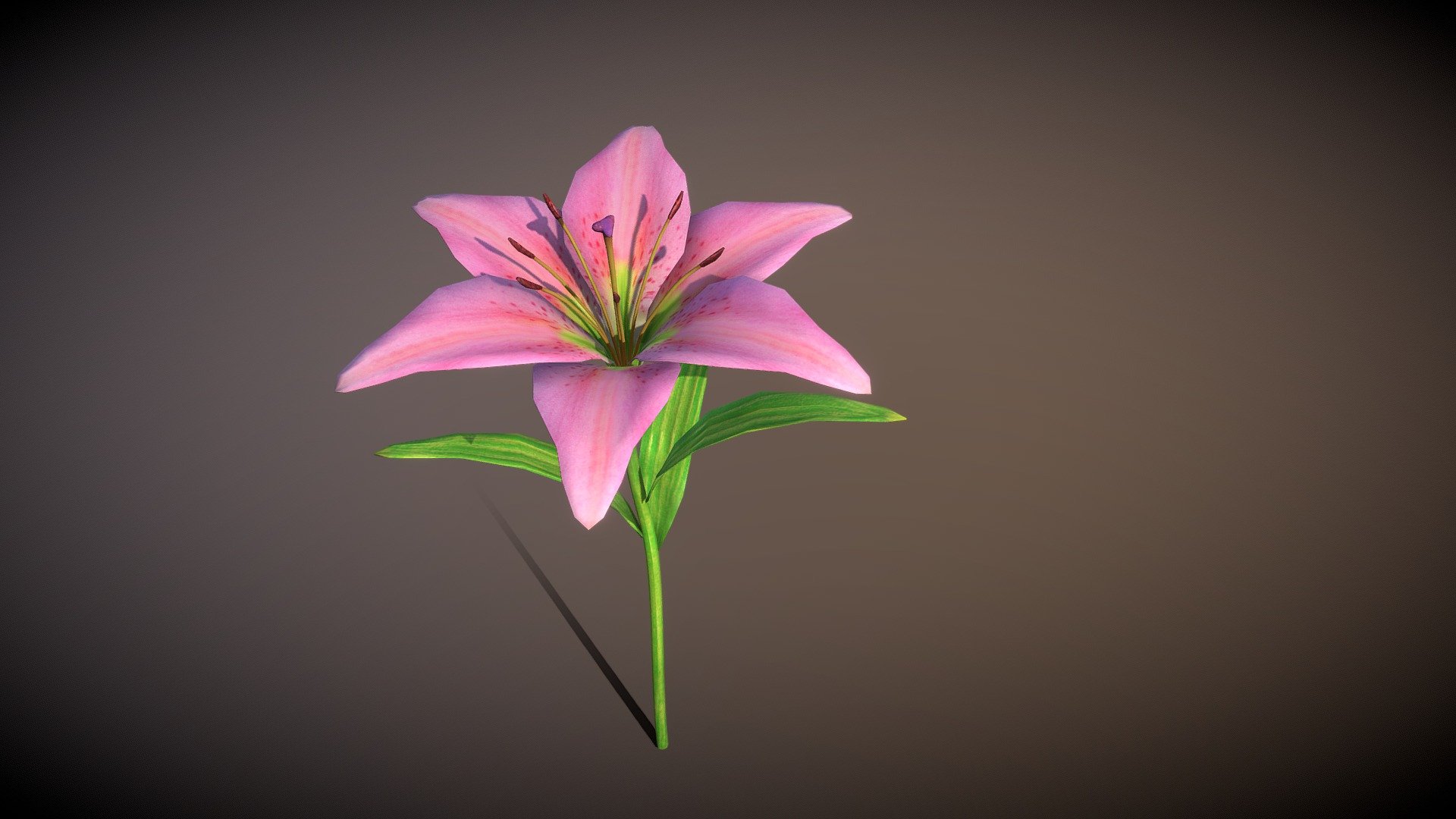 Lily_rigged_animated 3d model