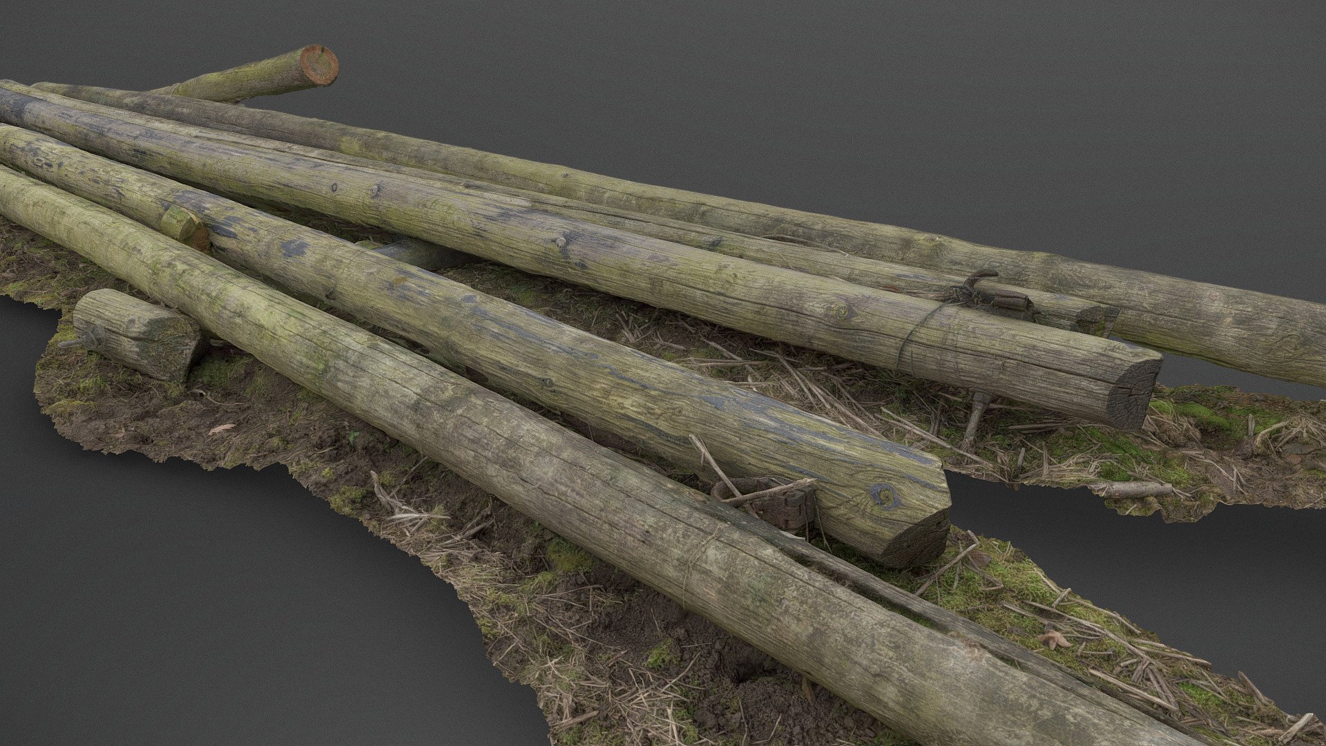 Old telegraph poles 3d model