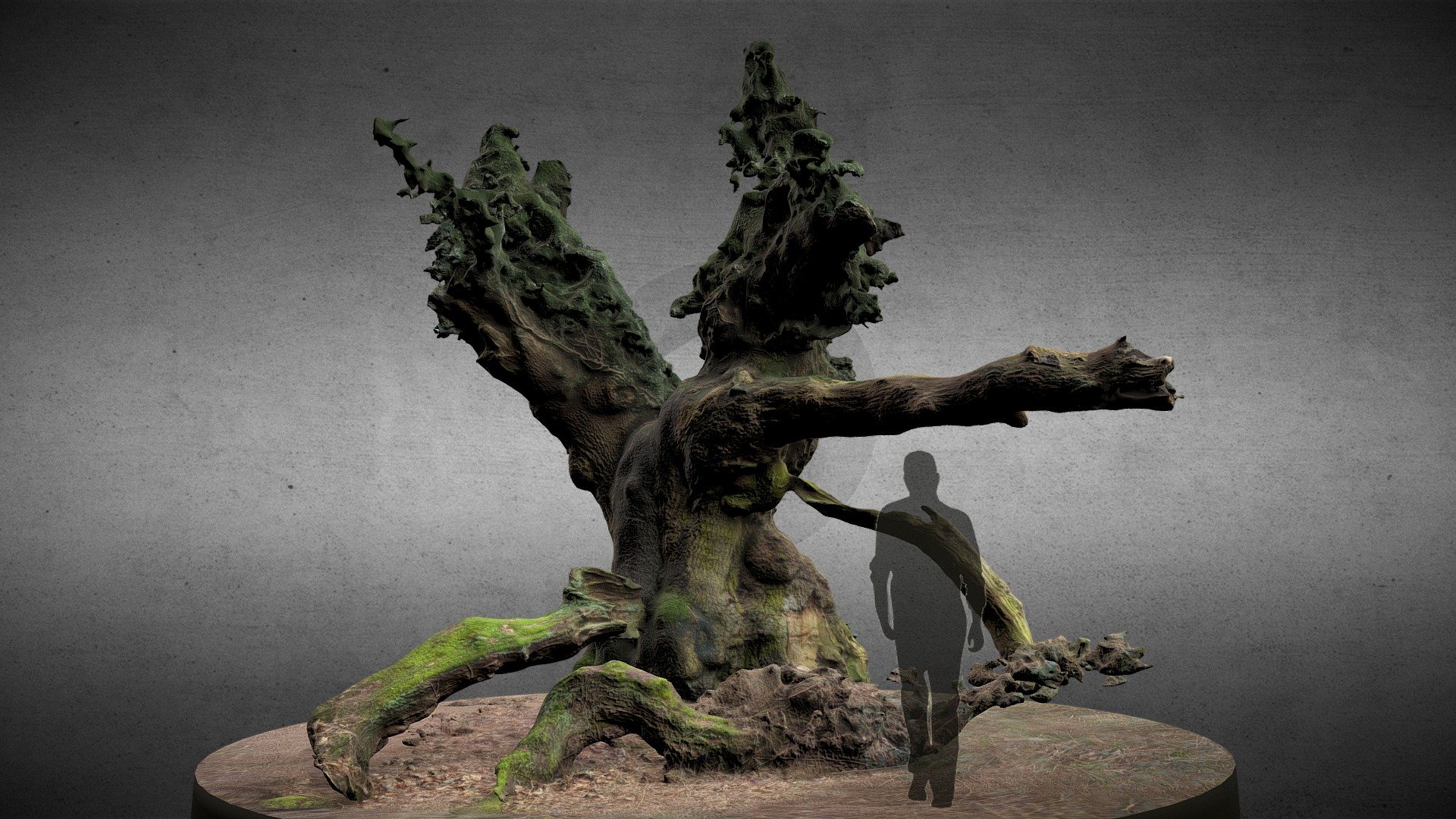 Old Oak with Ivy 3d model