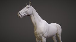 Realistic Horse Sculpt