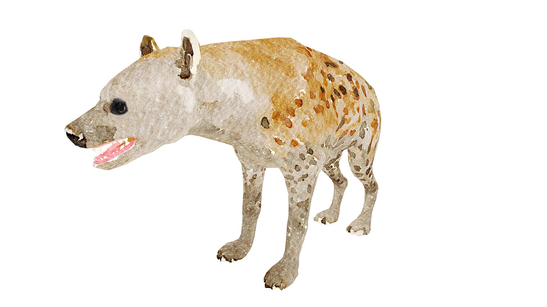 Hyena Illustration 3d model