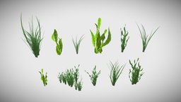 Underwater Grass Pack