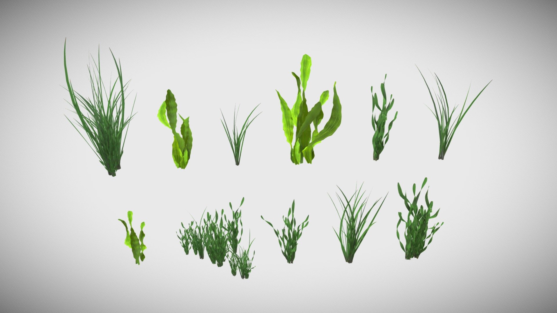 Underwater Grass Pack 3d model