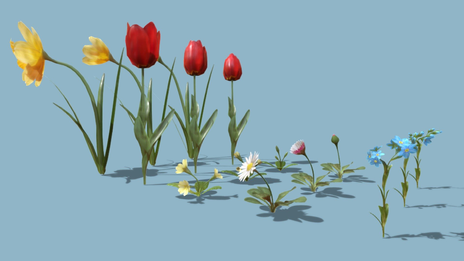 Blooming Flowers Pack 3d model