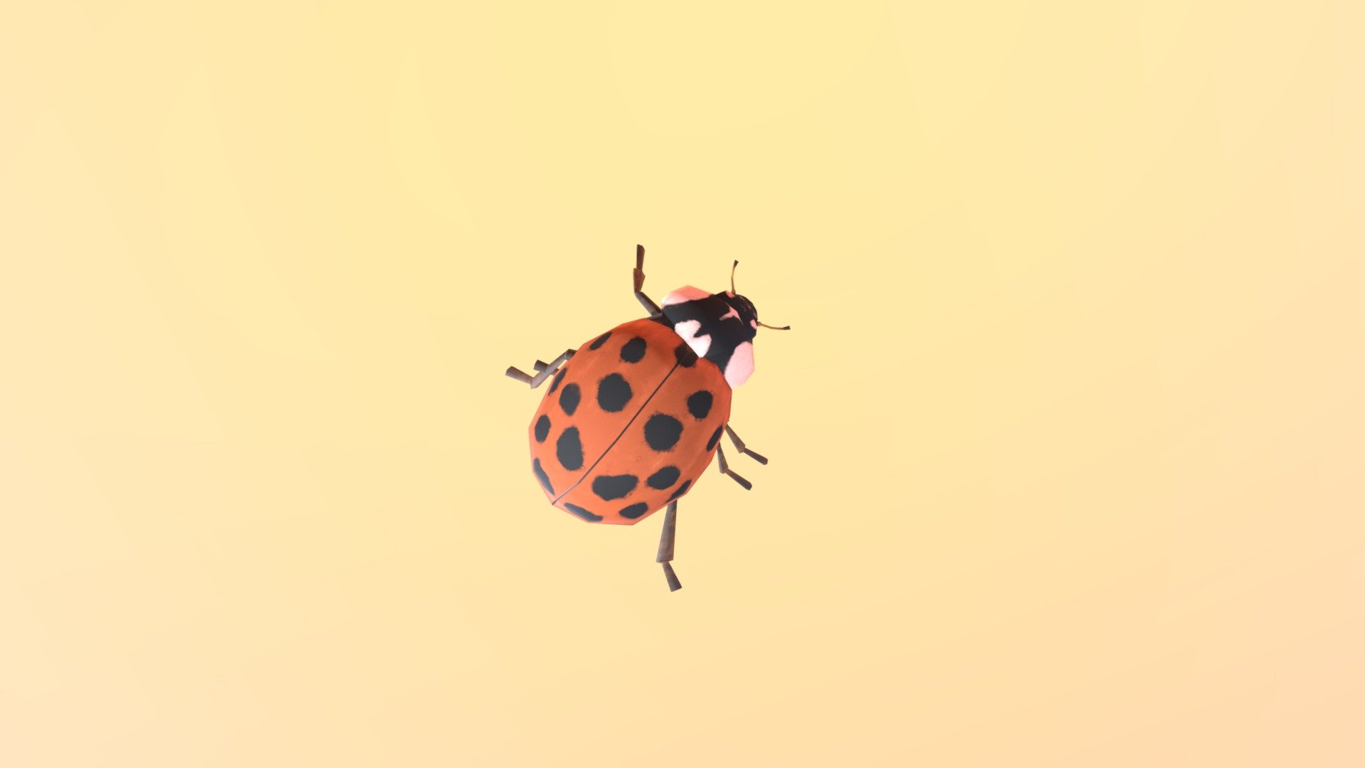 Beetle 3d model