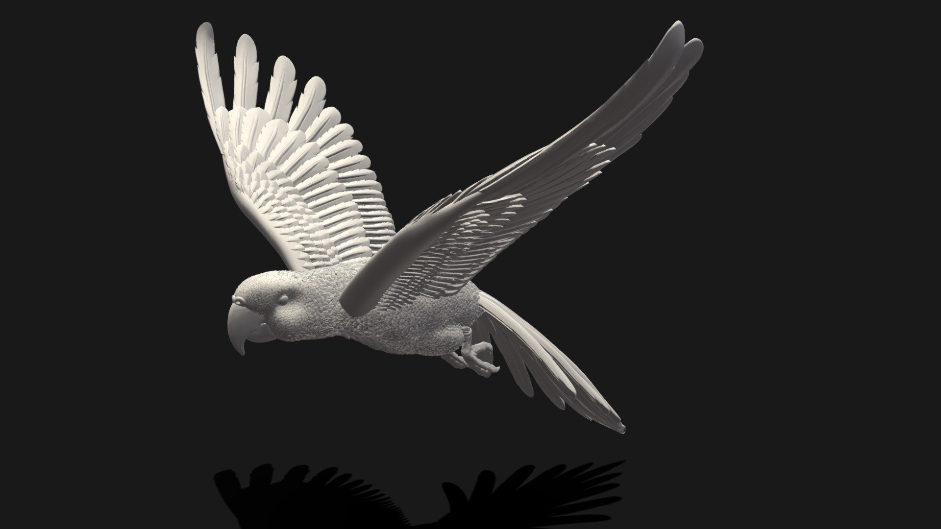 Parrot 3d model