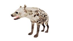 Hyena 2 Illustration