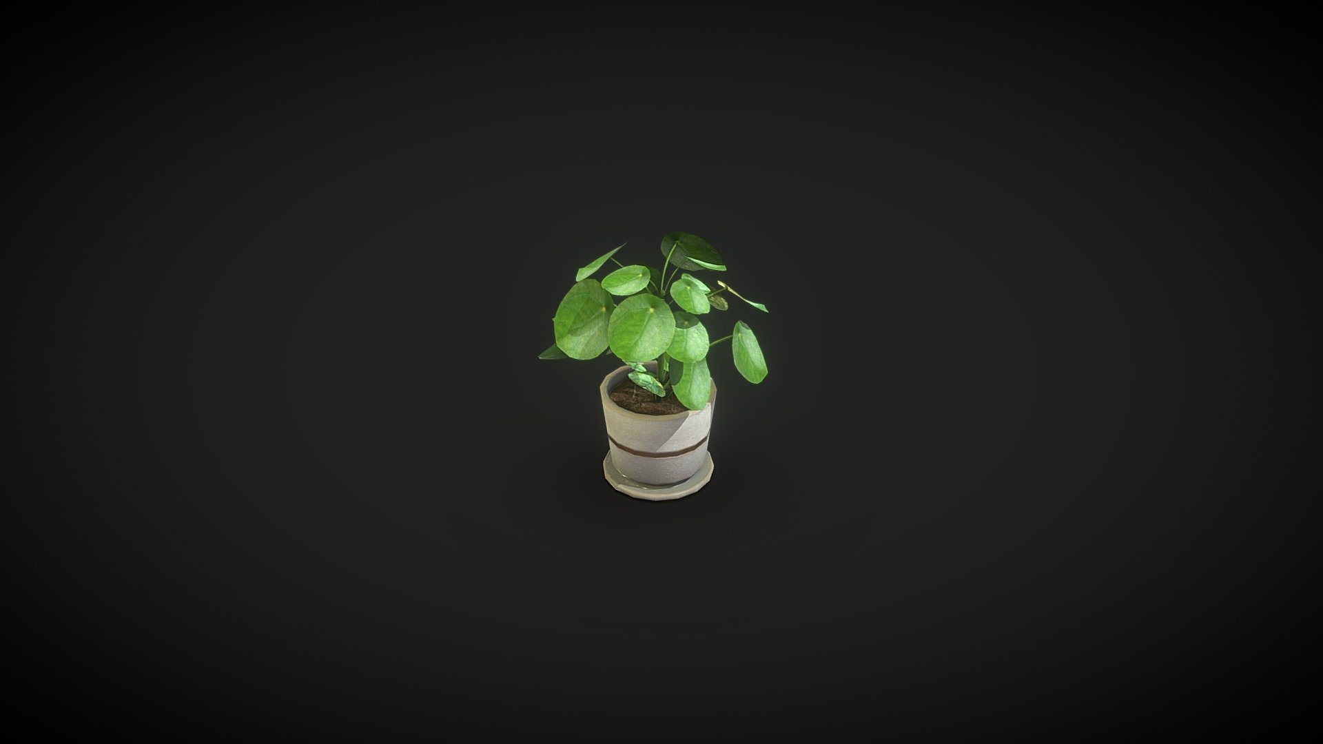 Pilea Peperomioides low poly plant 3d model