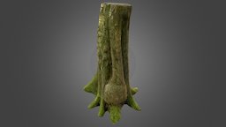 Photoscanned Tree Trunk