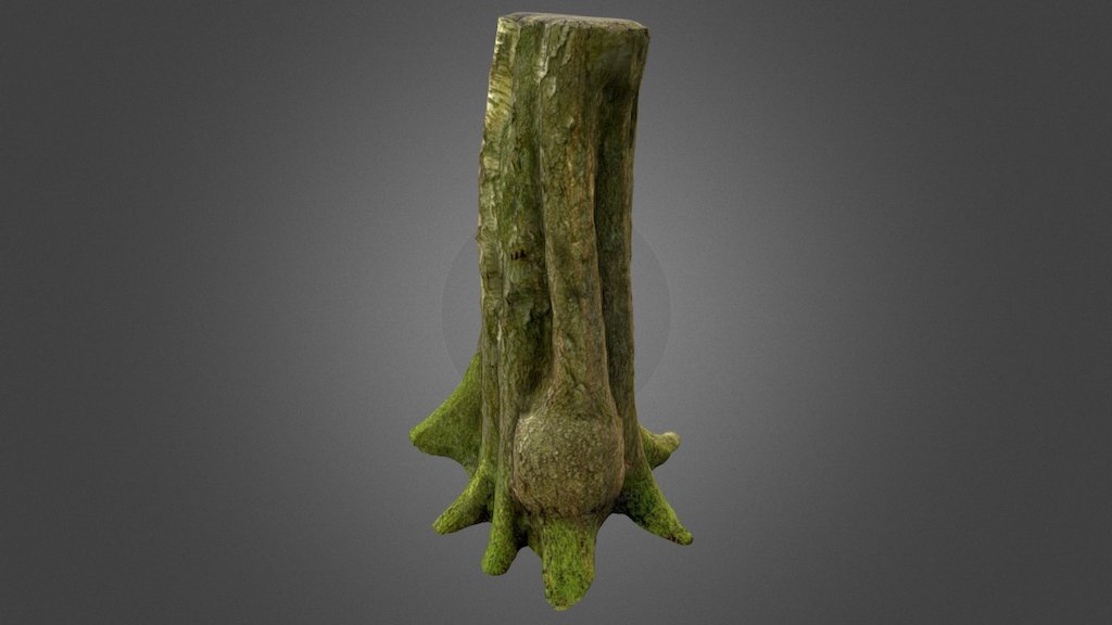 Photoscanned Tree Trunk 3d model