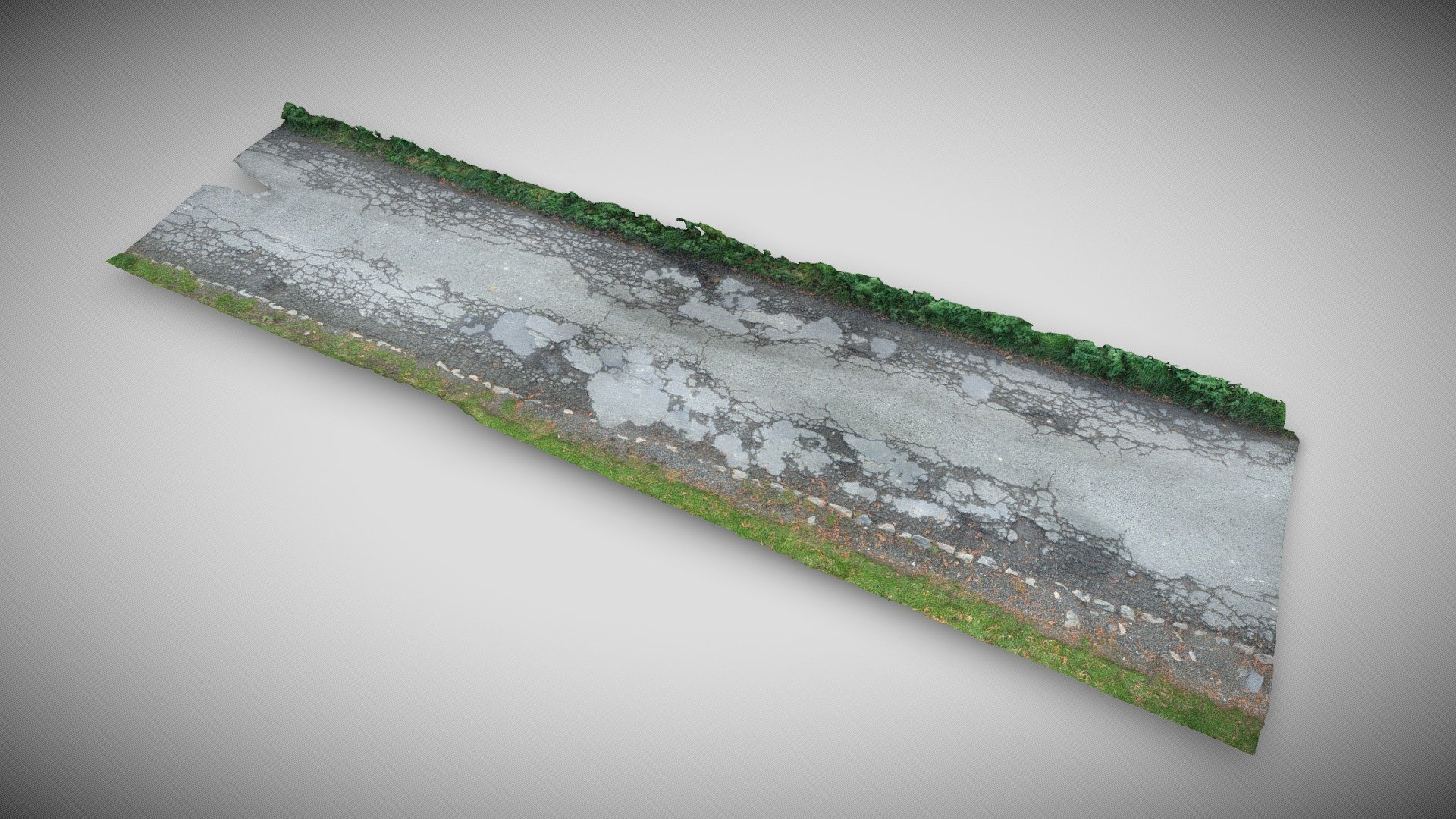 Road in the countryside 3d model