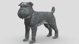 Brussels Griffon V1 3D print model