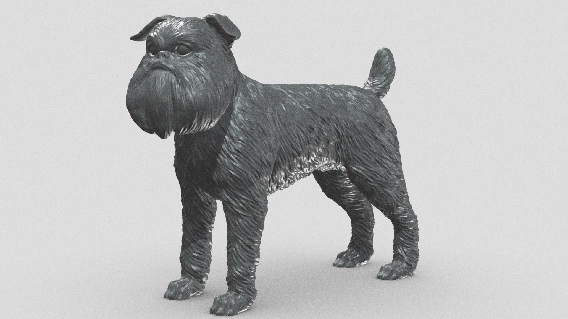 Brussels Griffon V1 3D print model 3d model