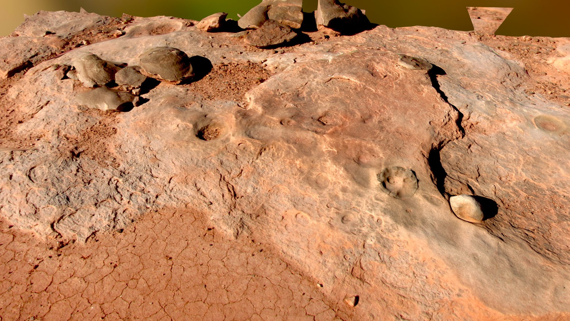 Dinosaur Nest with Egg and Caprolites 3d model