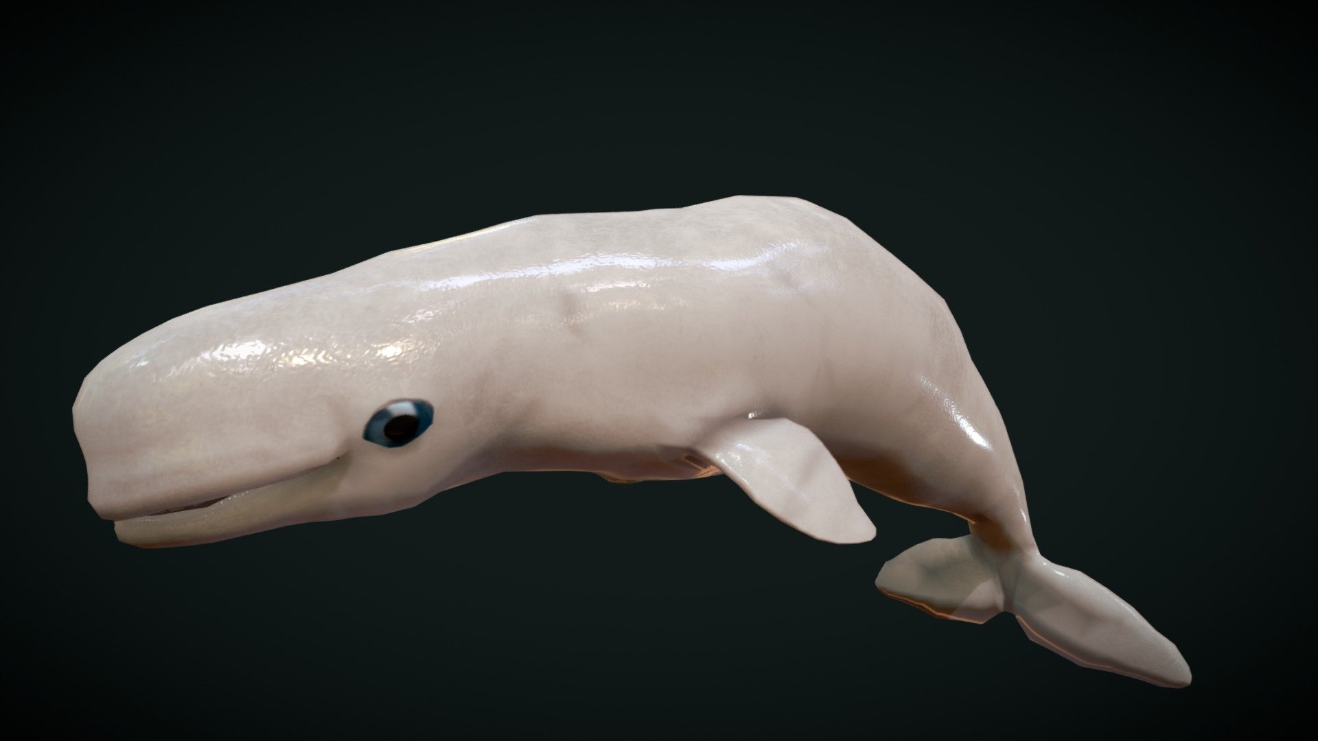 Beluga 3d model