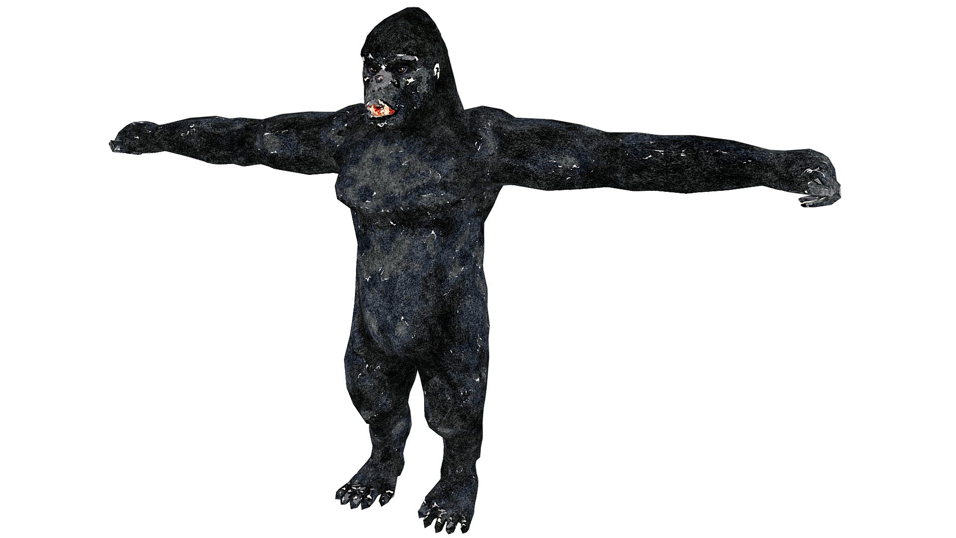 Gorilla Illustration 3d model