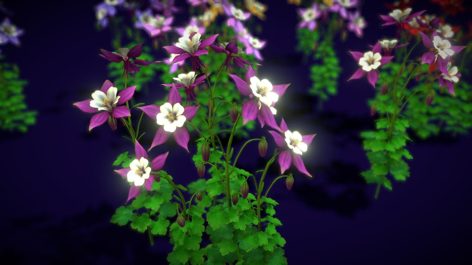 Flower Colorado Columbine 3d model