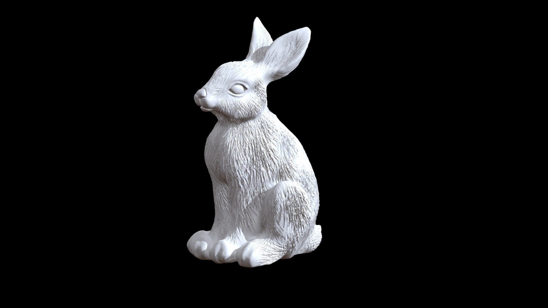 hare 3d model