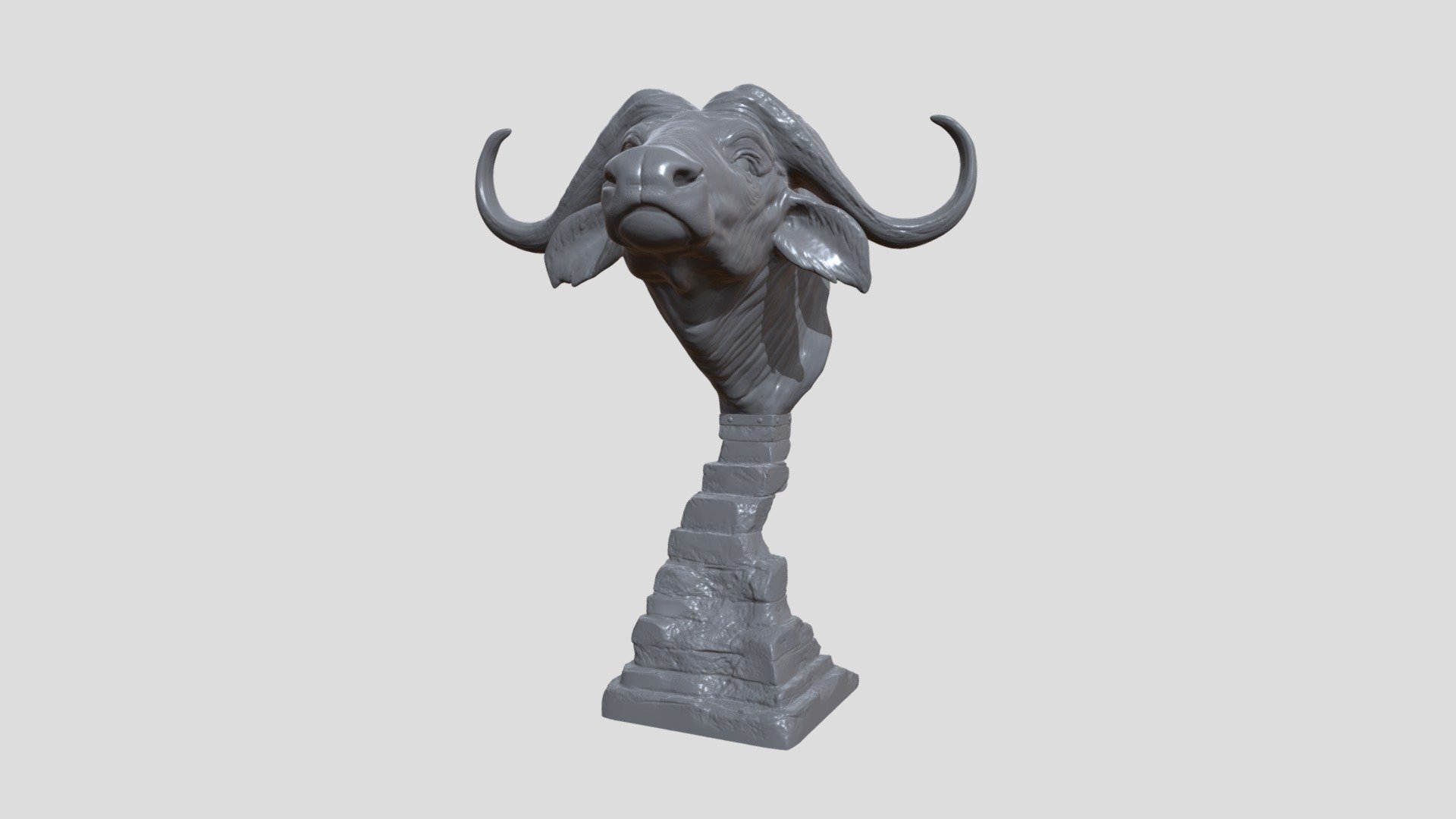 Head African Buffalo 3d model