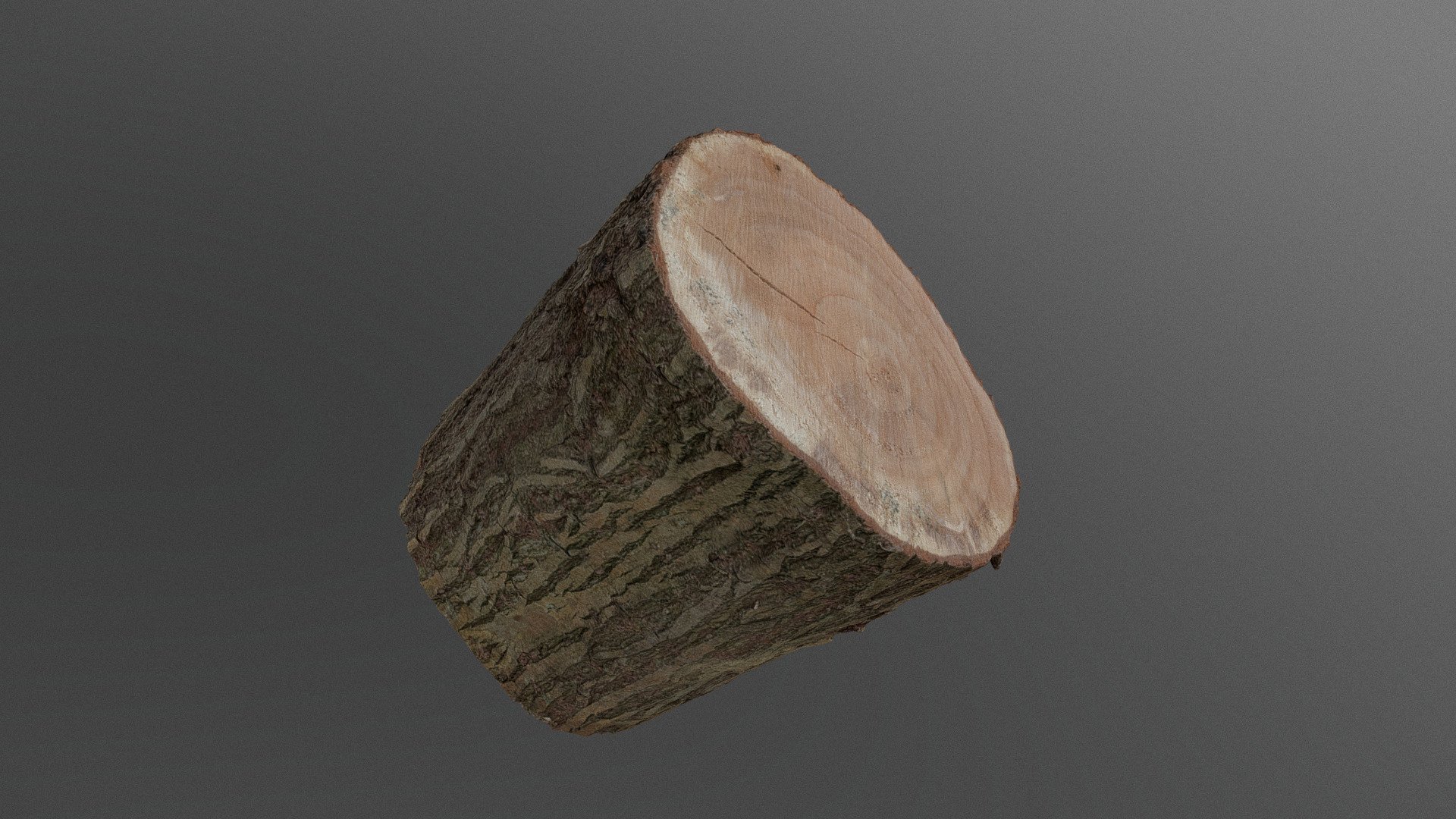 Thick Willow log 3d model