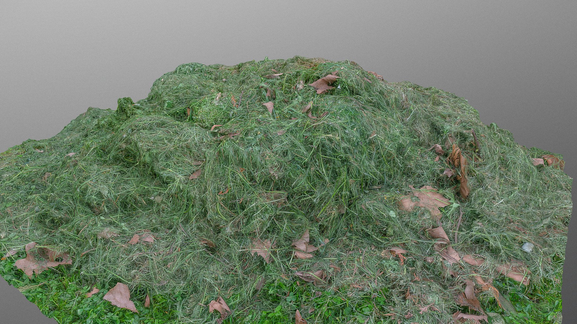 Mown lawn cut grass heap 3d model