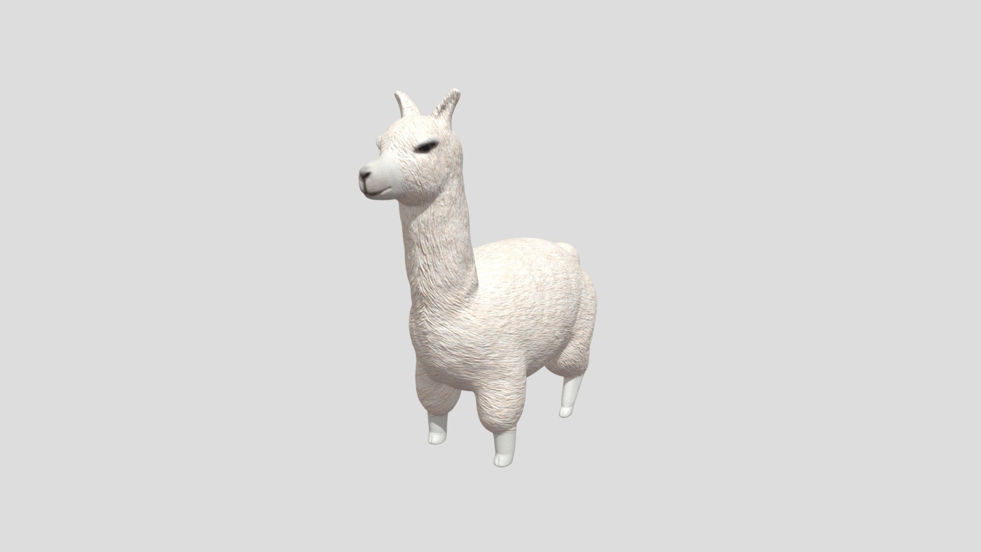 lama 3d model