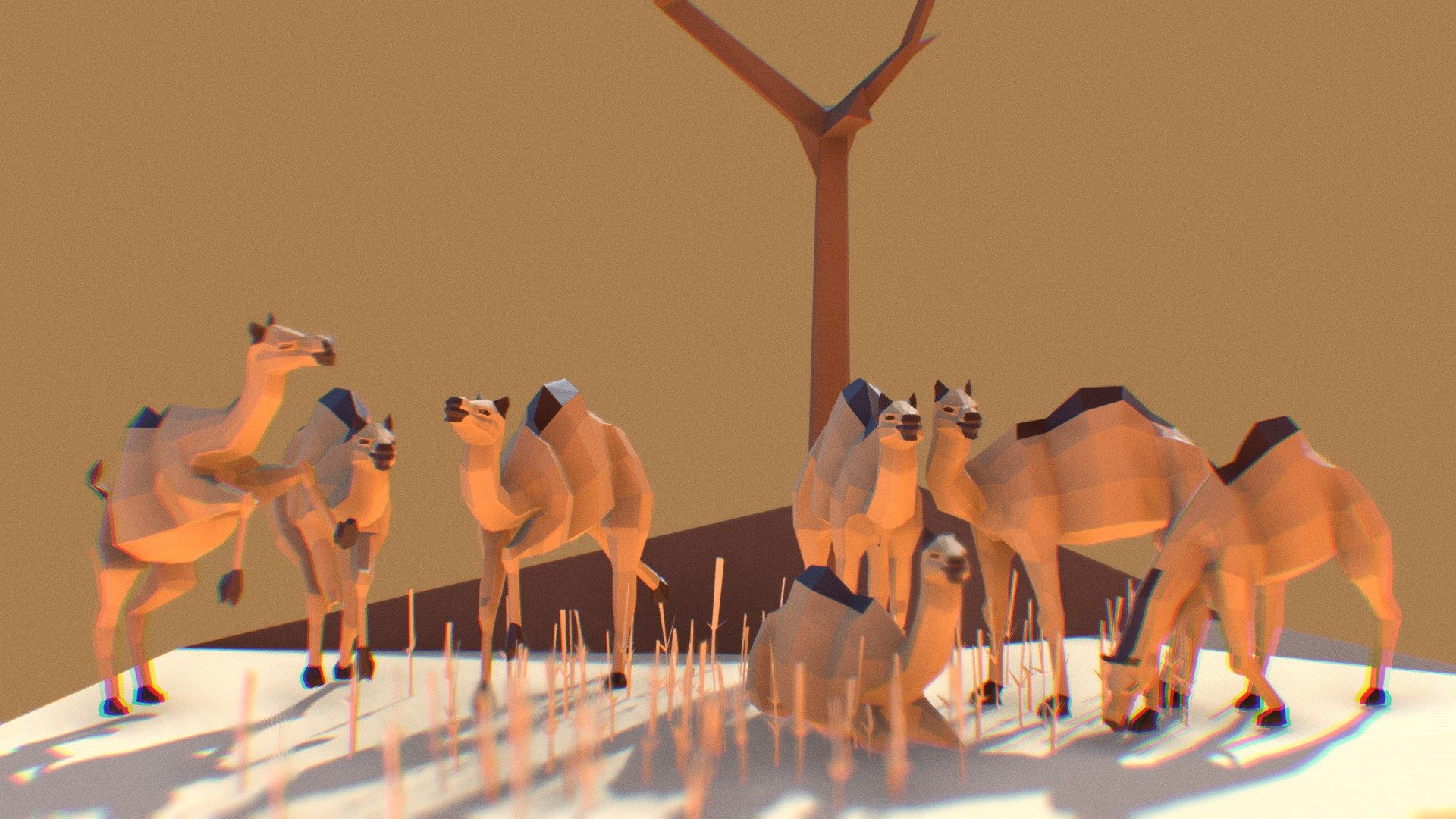 Camels 3d model