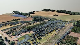 Wildflower field and nursery