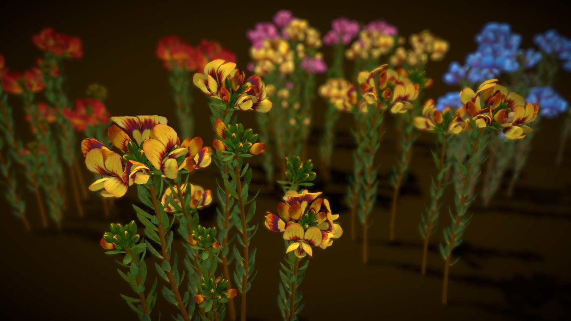 Flower Almaleea Subumbellata 3d model