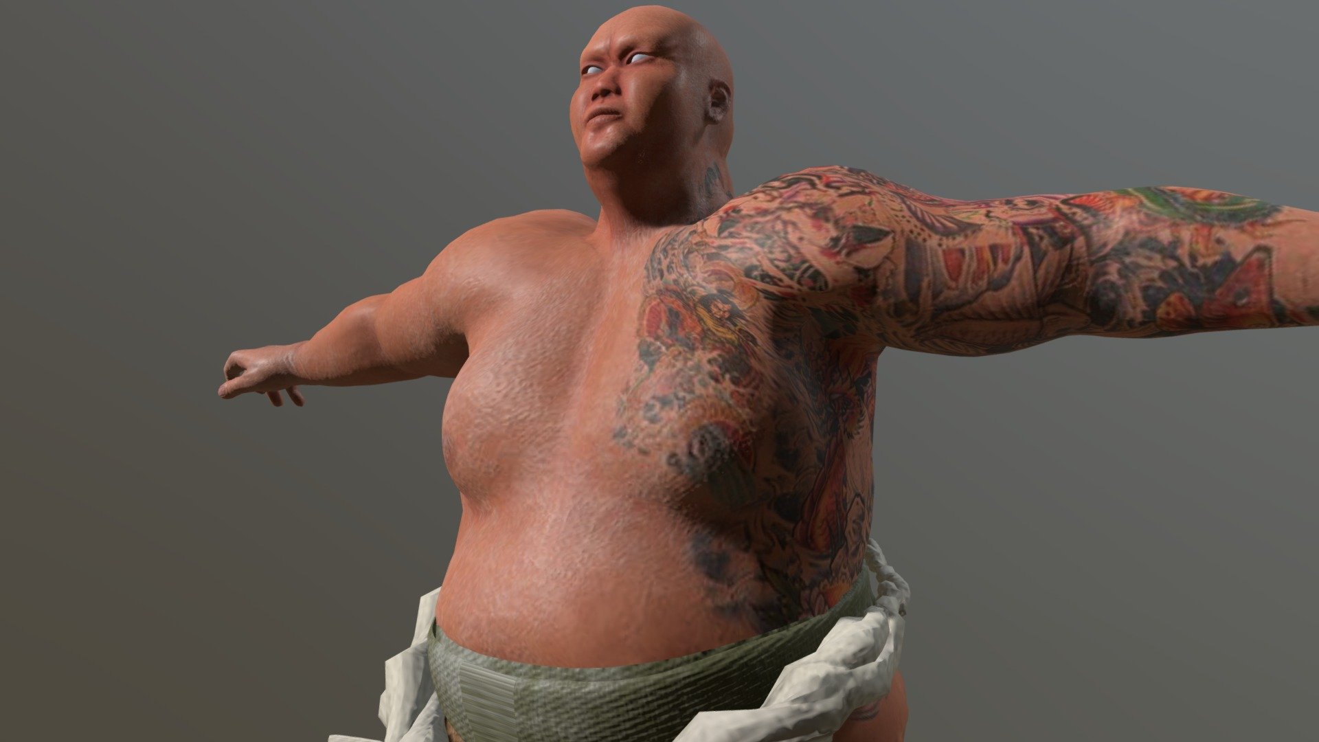 Sumo 3d model