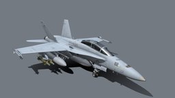 F/A-18 B/D Hornet