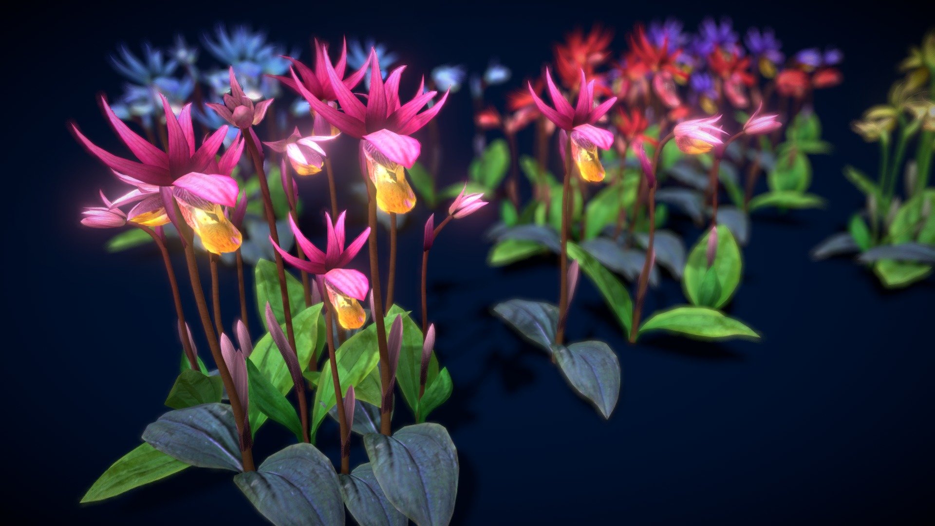 Flower Calypso Bulbosa 3d model