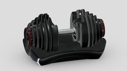 BOWFLEX SELECTTECH 1090I DUMBBELLS