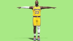 T-P Rigged Lebron James NBA