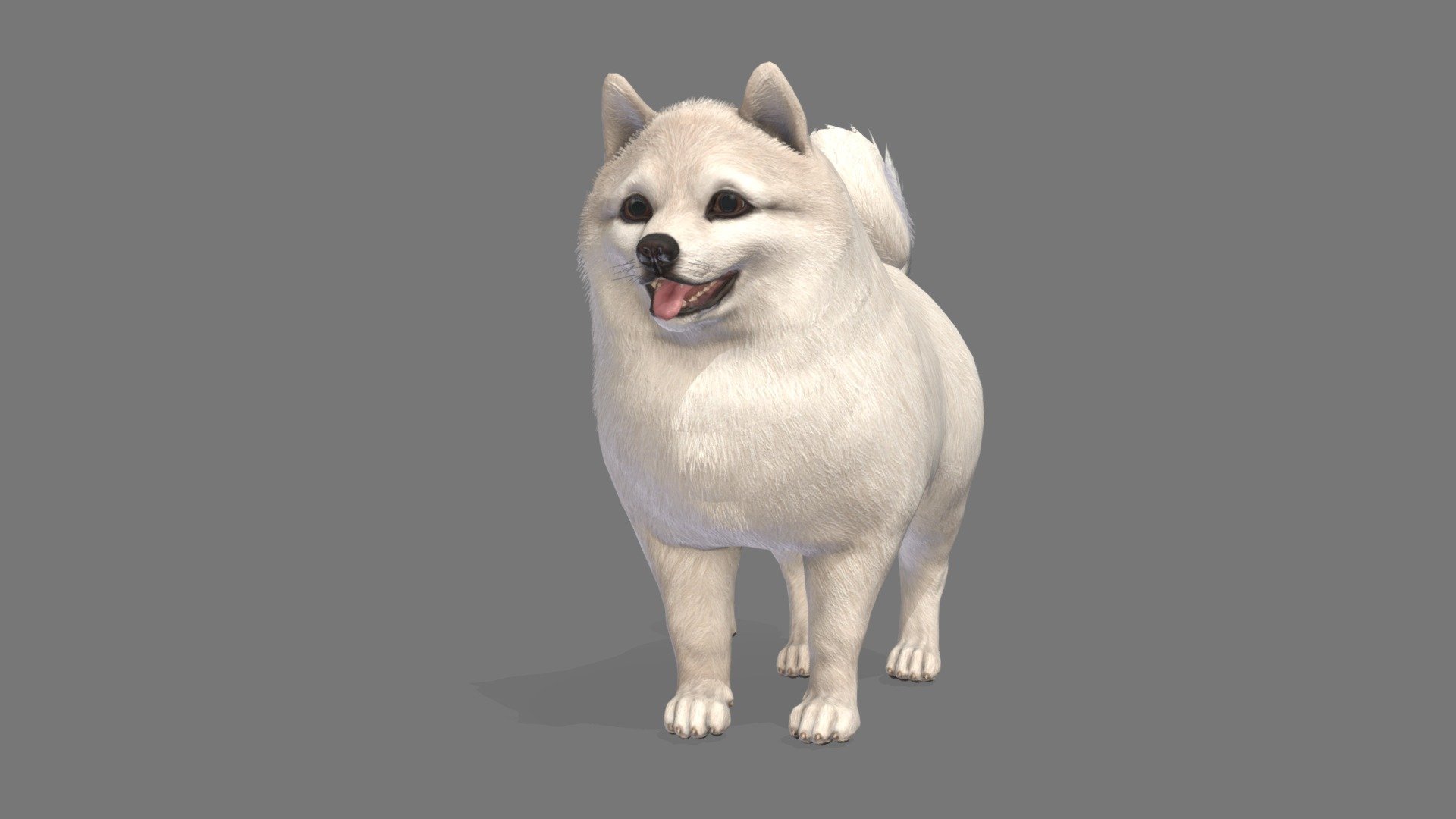 Dog 3d model