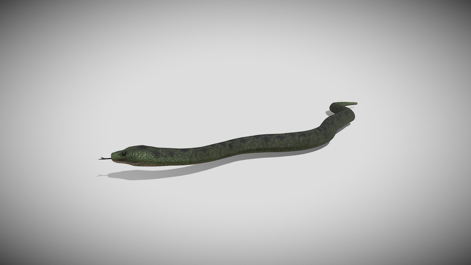 Medhue Anaconda 3d model