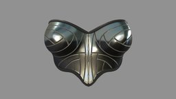 Female Futuristic Shiny Pannels Bralet Top