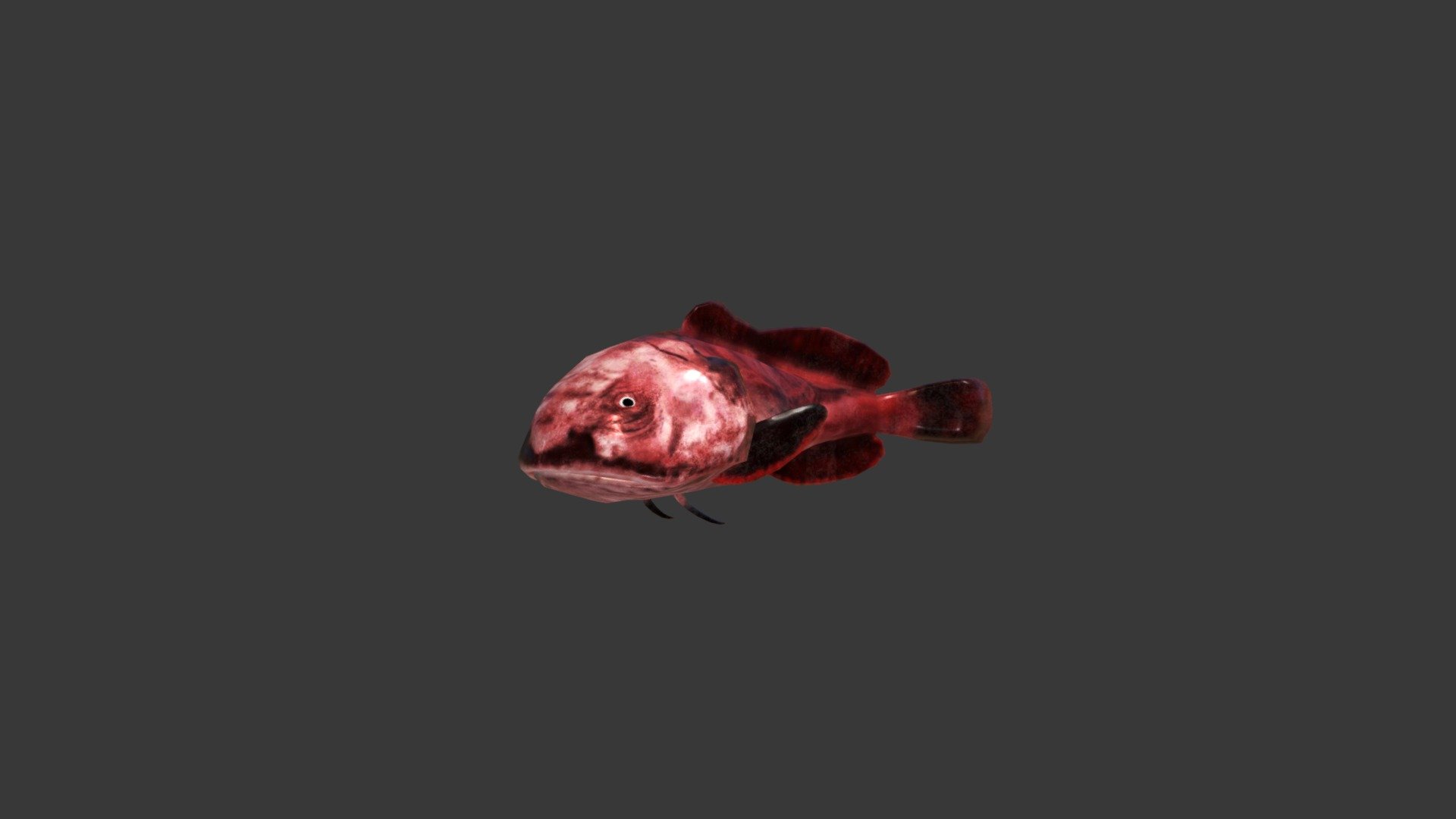 Blobfish 3d model