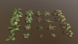 Tropical Plants Pack