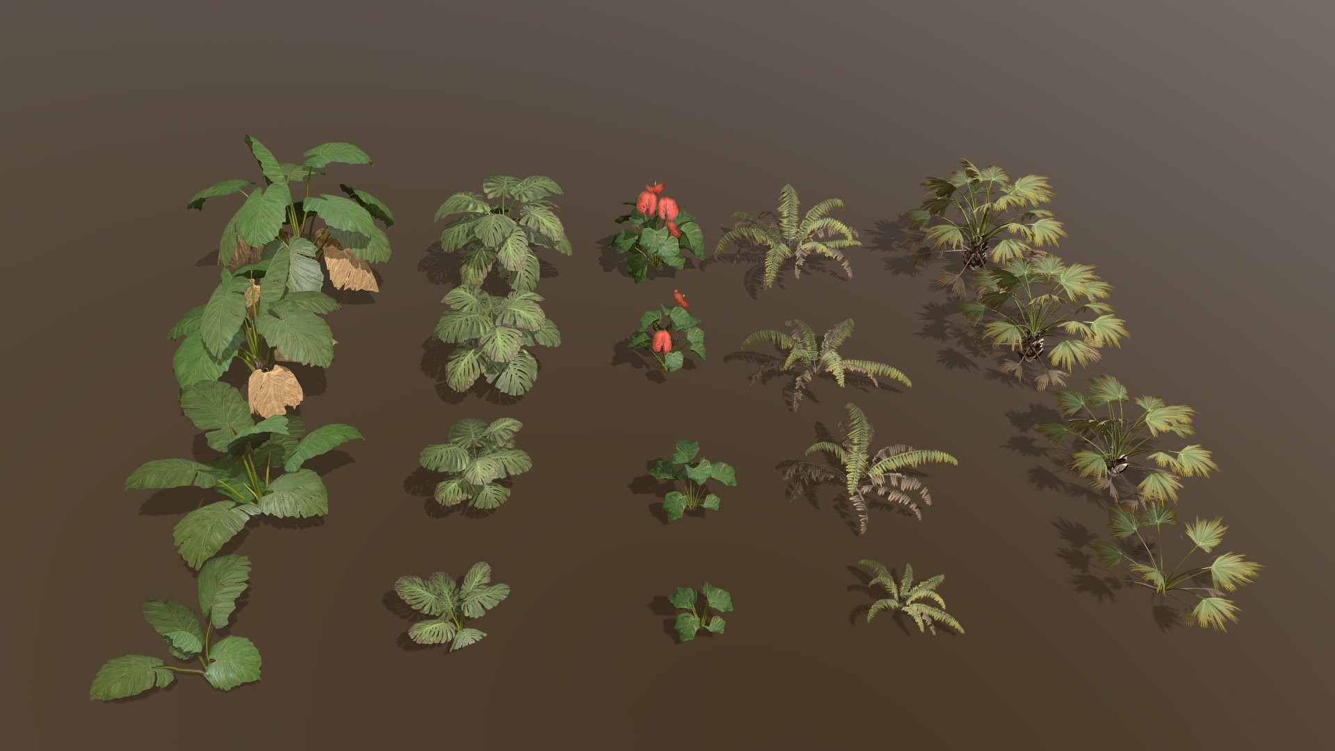 Tropical Plants Pack 3d model