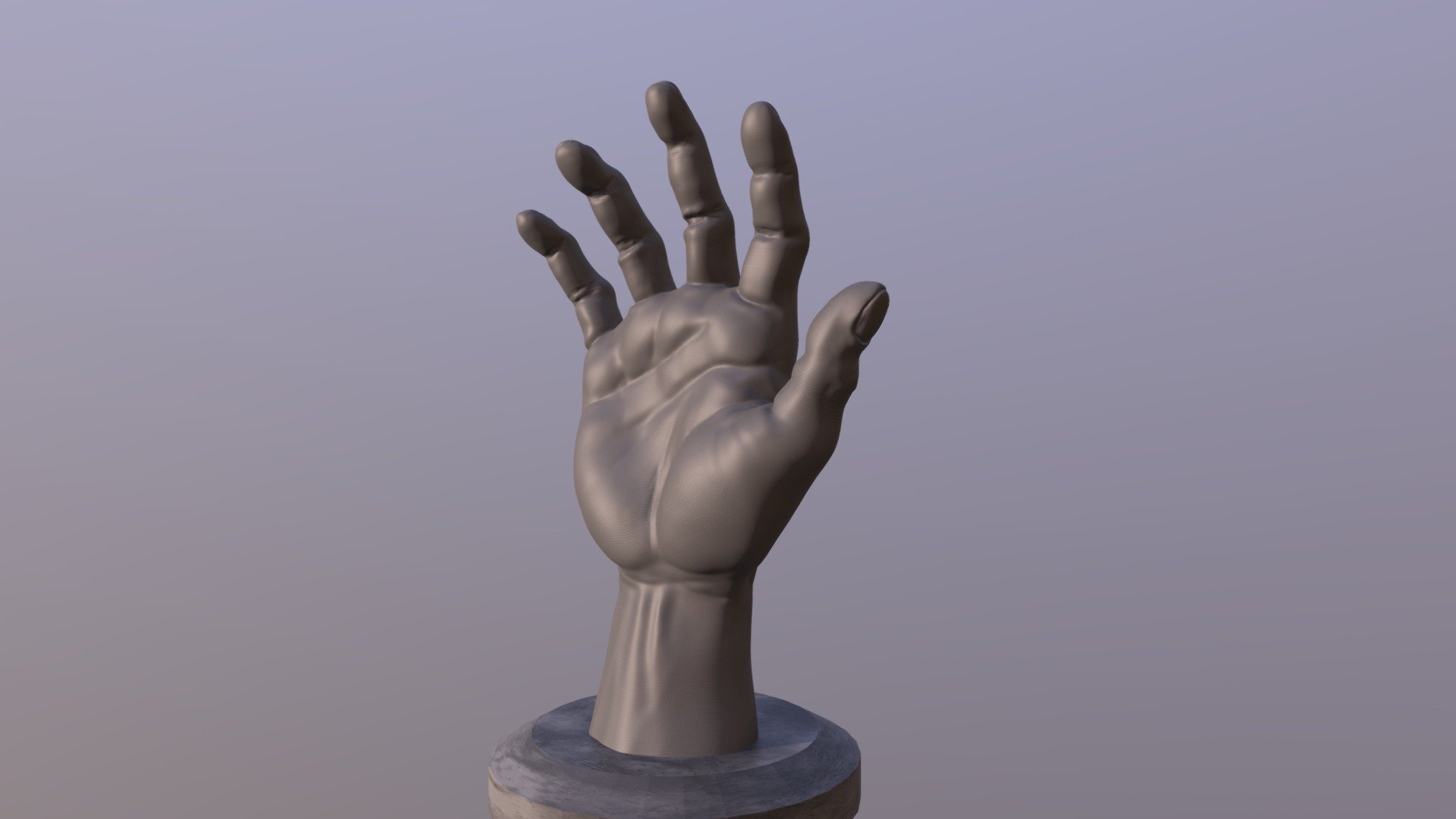 Hand Sculpt 3d model