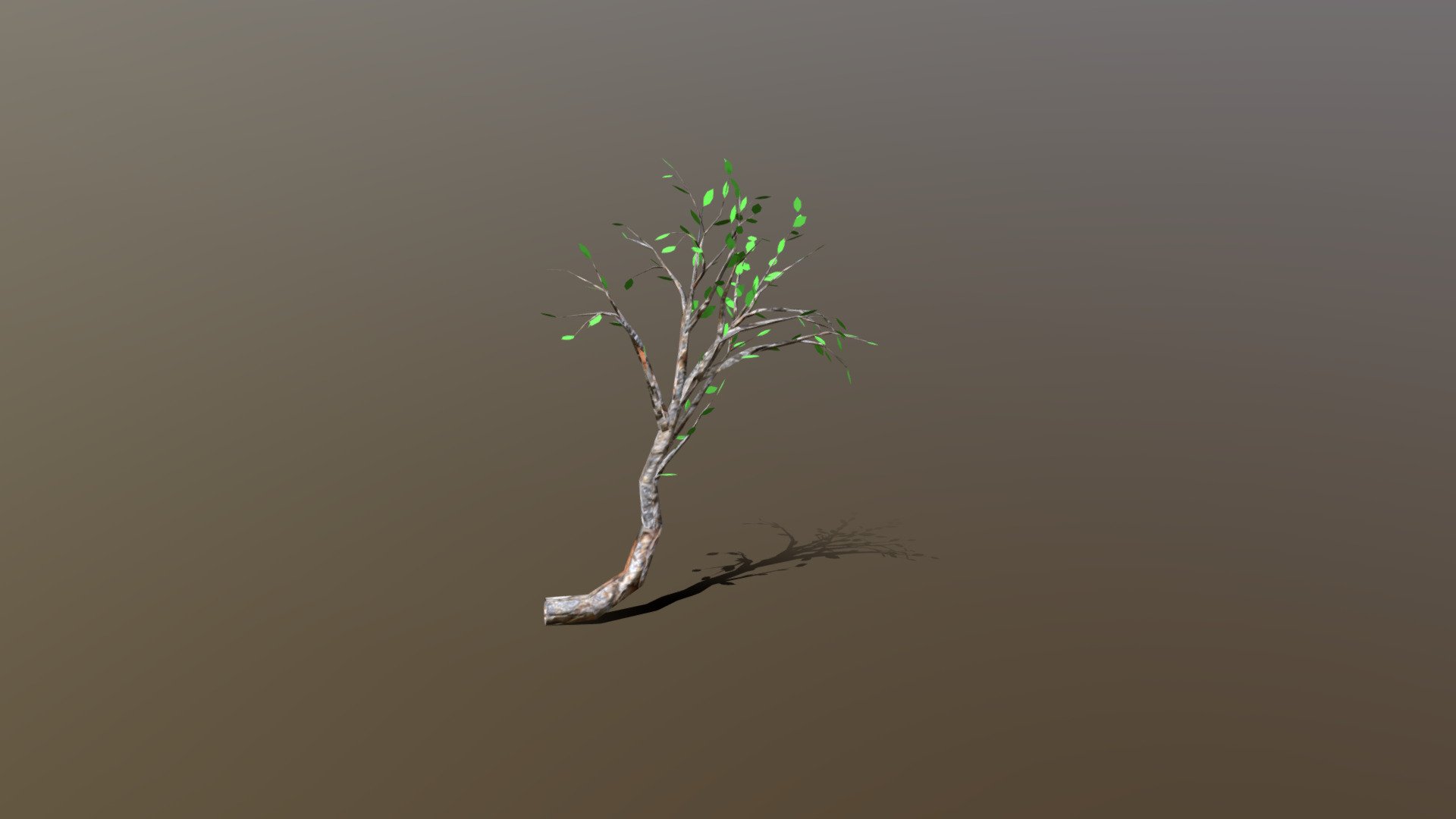 Cliff Side Small Tree (LOD) 3d model