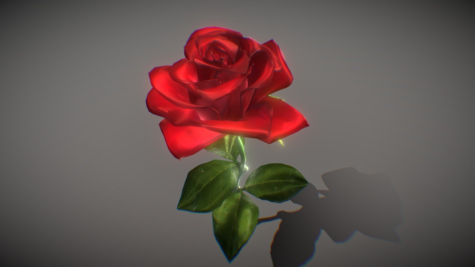 Rose 3d model