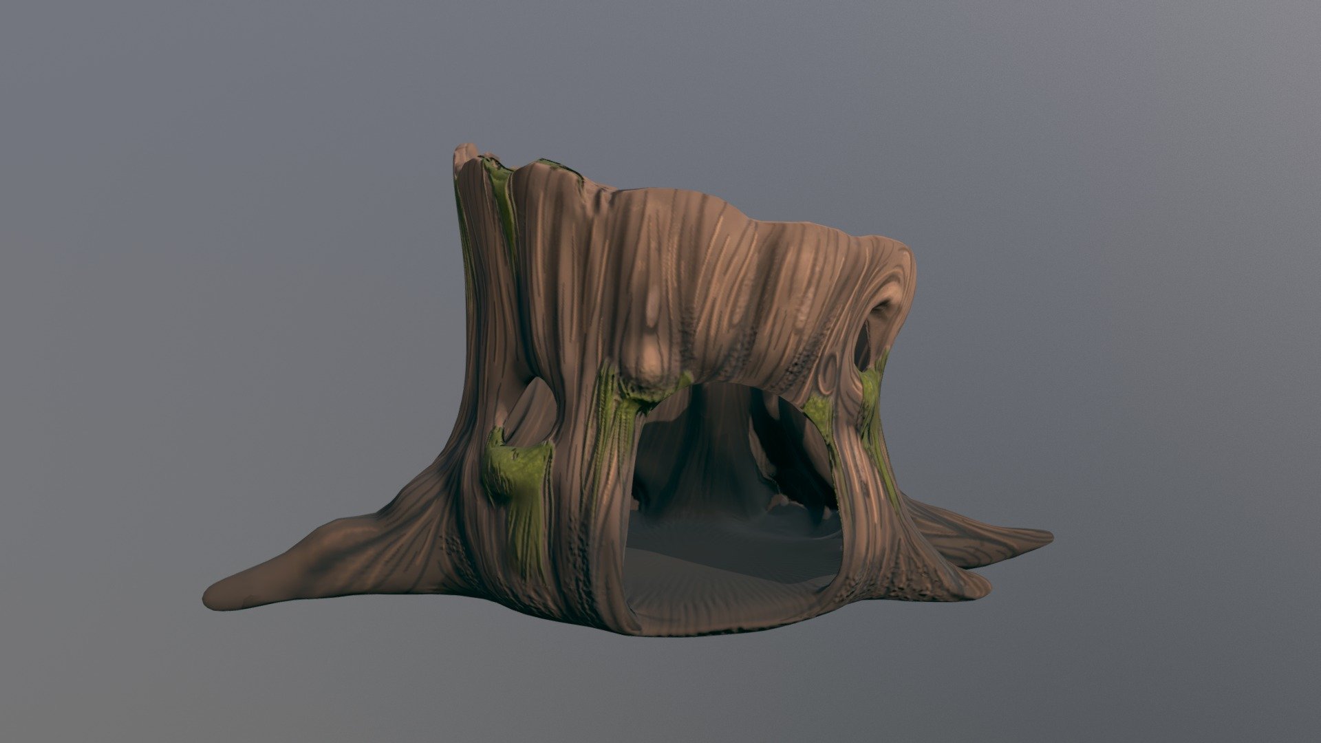 Textured Trunk 3d model